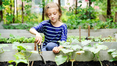 Haywards Heath Horticultural Society Keen For Young Volunteers