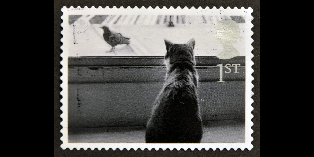 Help Cats  Across Mid Sussex  With A Stamp RH Uncovered